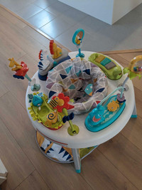 Fisher price Activity Centre 