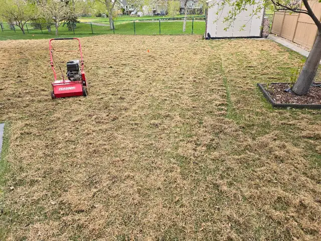 Aerate, Power rake, Overseeding and Fertilizer 63581883083265122