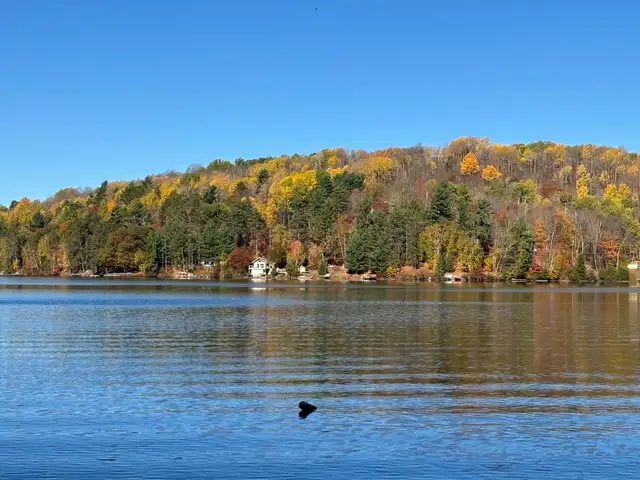 2 Bedroom Cabin on Beautiful Lake Baptiste  in Ontario in Canada - Image 4
