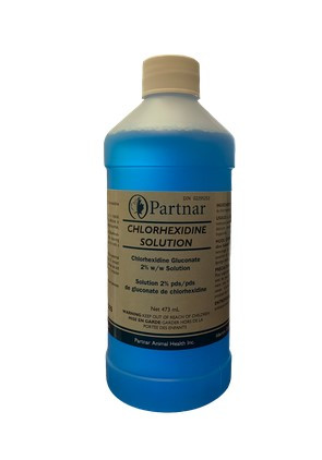 Reptile Husbandry Chlorhexidine 2% Disinfecting Agent Solution in Reptiles & Amphibians for Rehoming in Mississauga / Peel Region