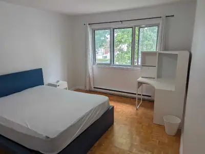 Chambre à louer