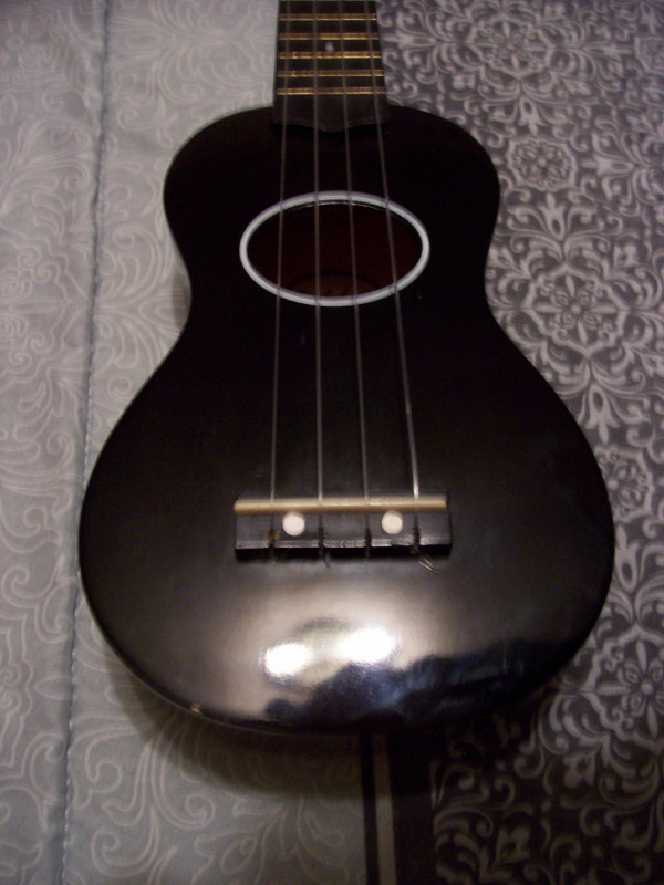 Eddy Finn Minnow ukulele in String in Trenton - Image 4