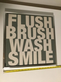 Cadre Flush, Brush, Wash Smile