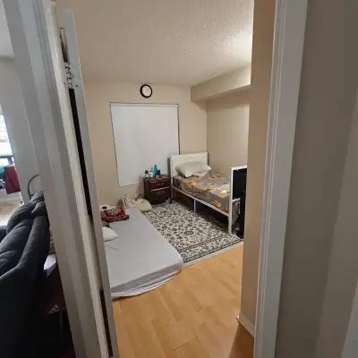 Shared Accomodation