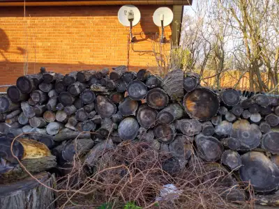 FIREWOOD HONEY LOCUST LOG SIZE, NOT SPLIT $60 FACE CORD CALL OR TEXT 647-991-1496