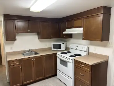 3 bedroom basement apartment for rent in Antigonish. $1500 plus utilities. No smoking. Walking dista...