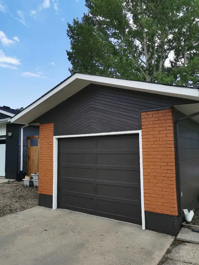 PLATINUM PRO PAINTING65561282463489127