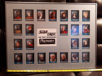 Star Trek The Next Generation framed Playmates cards 20 x 27"