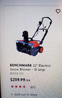 ELECTRIC SNOW BLOWER 