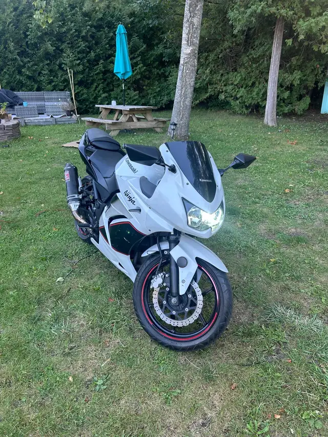 2011 Kawasaki ninja in Sport Bikes in Barrie - Image 9
