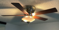 Large 5-Blade Ceiling Fan with Lights