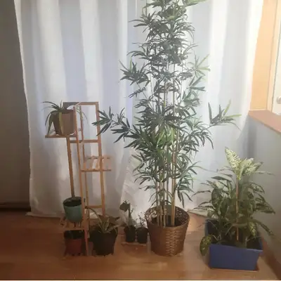 Looking for a responsible female tenant to share a beautiful condo featuring: - Two spacious rooms -...