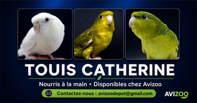 TOUI CATHERINE M/F DISPONIBLES, View more