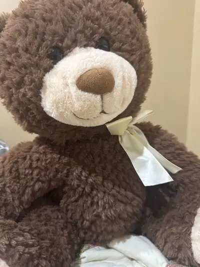 Hello, my name is Toyosi. I’m a quiet, responsible female tenant, non-smoker with no pets. I’ll be r...