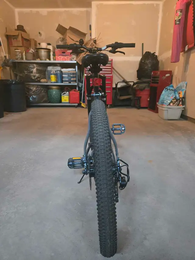 Supercycle Tekoa XC24 in Mountain in Calgary - Image 5
