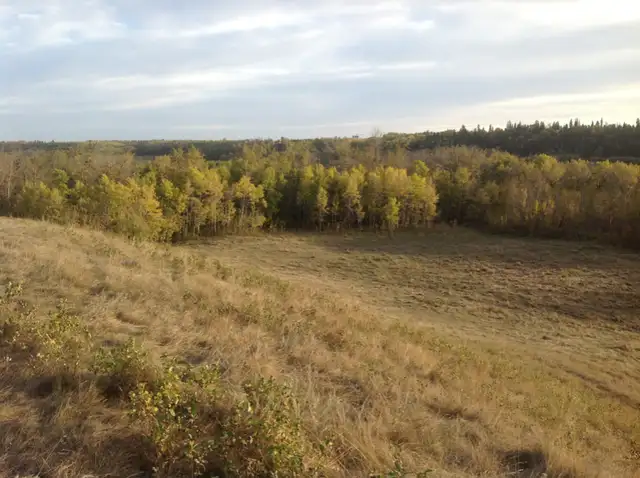 LAKEFRONT LAND FOR SALE BY OWNER63735893815043121