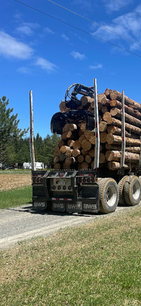2020 bws with log loader rotobec 2020