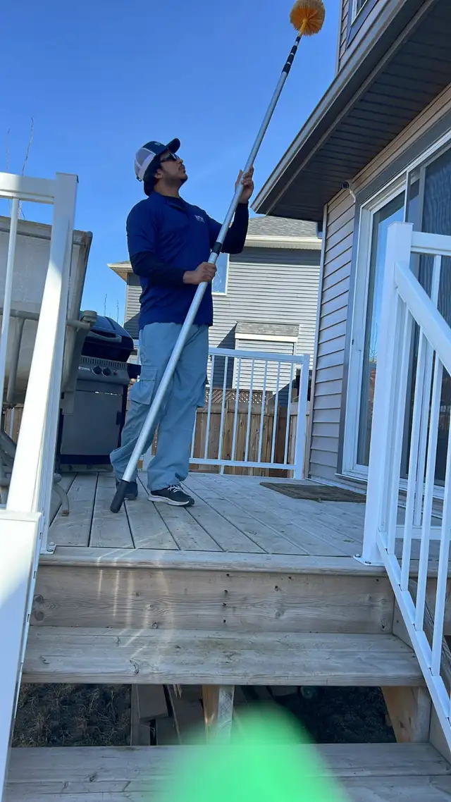 Pest Control $99 II ants ,spider and any kind of pest62863232737795121