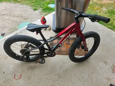 Youth 20" tire Trek Roscoe mid fat tire bike, View more