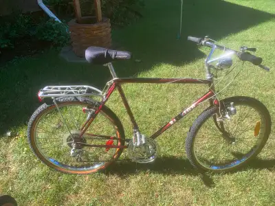 vintage 1985 Raleigh Big Horn Classic mountain bike, View more