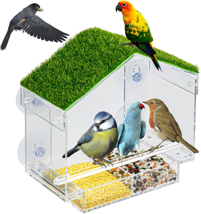 Window Bird Feeder Outdoor Bird Feeders with Strong Suction Cups in Outdoor Décor in Markham / York Region