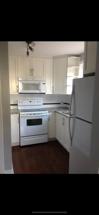 1 bedroom apartment