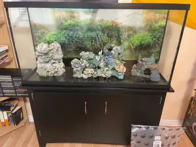 60 gallon aquarium/terrarium Comes with filter,heater, led lighting full cabinet. 2 full bags of sub...
