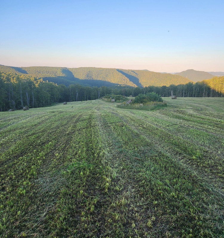 LOT DE TERRE À VENDRE 205 000 Land for Sale Bathurst Kijiji