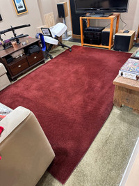 Area Carpet 