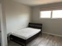 HOUSE FOR RENT NEAR MCMASTER UNIVERSITY