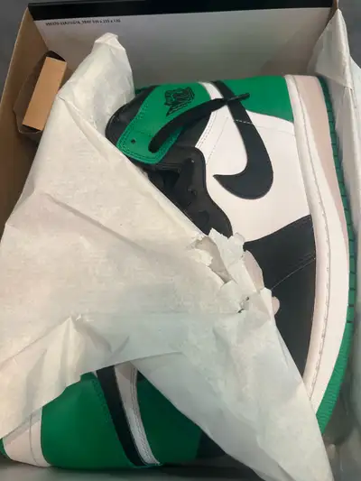 DS Laced up Sz US 10.5 Pickup only
