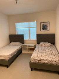 Private room for 2 roommates opposite Tsawwassen Mall