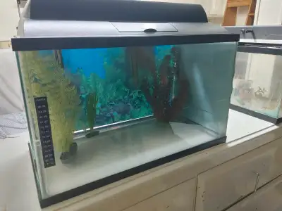 Aquarium , View more