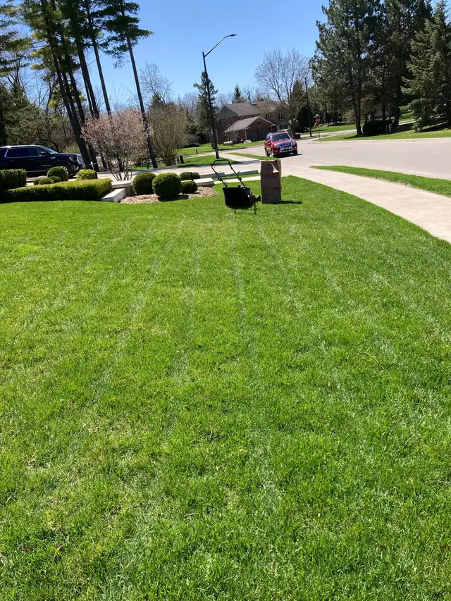 High Quality Grass Cutting and Property Maintenance in Barrie in Snow Removal & Property Maintenance in Barrie - Image 5