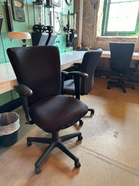 Selling 4 Desk Chairs- 80 Each, or 300 for all