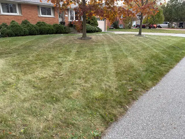 Lawncare, Landscaping and Property Maintenance!