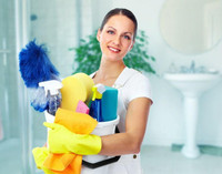 Professional European Cleaning Service