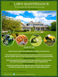 Professional Lawn Care Services