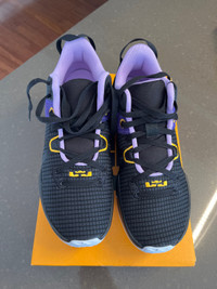 Nike Lebron Witness VII BNIB Black/Purple/Gold Sz M9