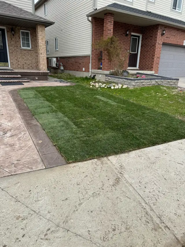 SOD INSTALL - New Grass63008305257091124