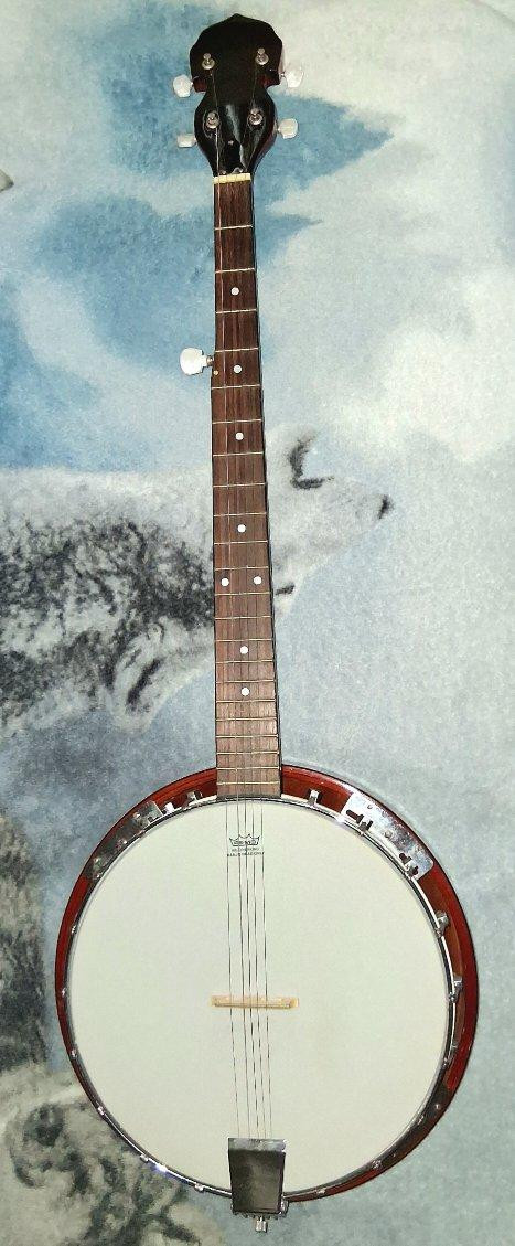 Vintage 1960's Made in Japan 5 String Tenor Resonator Banjo in String in Oakville / Halton Region