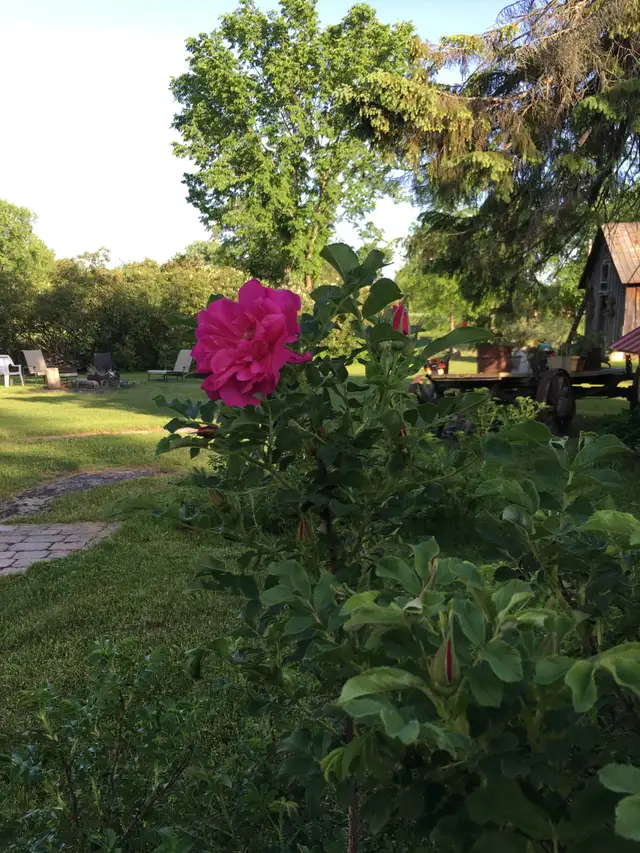 3 Month Escape in Ontario in Canada - Image 4