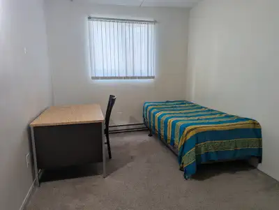 Single room for rent in family Apartment