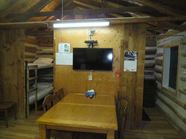 FERGUSON LAKE CABINS, Cottage Vacation Rental in Travel & Vacations in Renfrew - Image 4