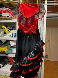 Girl Spanish dancer Halloween dress