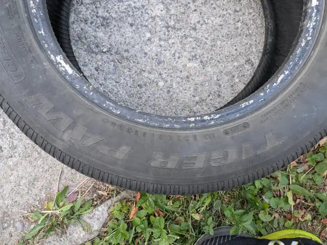 Uniroyal Tiger Paw Winter Tire! in Tires & Rims in City of Toronto - Image 4