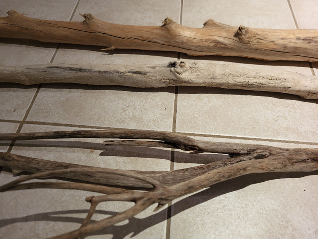 Driftwood, White birch, decorative wood pieces- macrame pieces in Arts & Collectibles in City of Toronto - Image 3