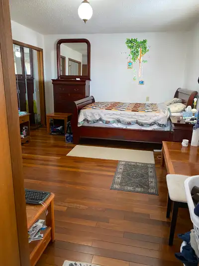 Looking for a working, clean, quiet, and easy-going person to rent a very spacious master bedroom wi...