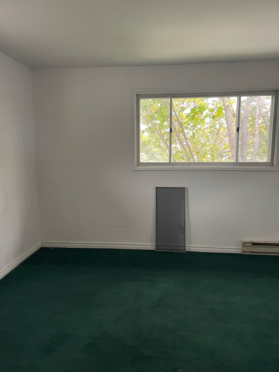 character 2/3 bedrooms apartment for rent 4