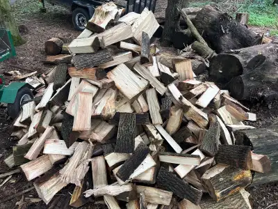 firewood, View more